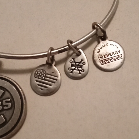 #1038. Alex And Ani Silver Toned Cubs Charm Bracelet - Picture 3 of 4